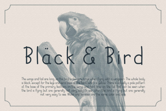 Black Bird Font for Memorable Branding and Visual Storytelling