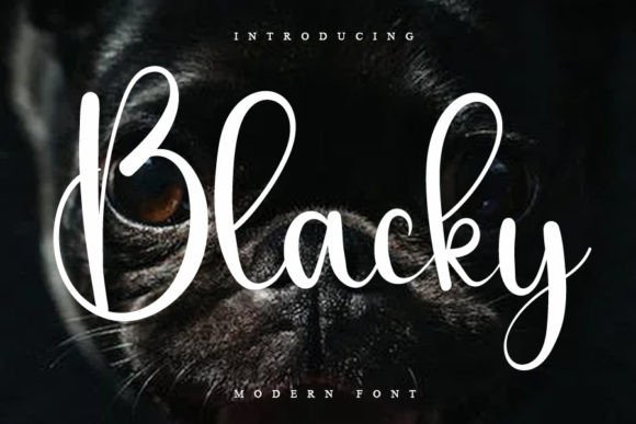 Blacky: A Designer's Verdict on a Bold Script for Real Projects