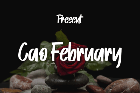 Cao February: A Modern Script Font for Elegant Editorial Design