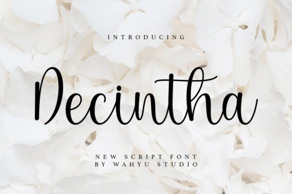 Decintha: A Delicate Script Typeface for Modern Web Design