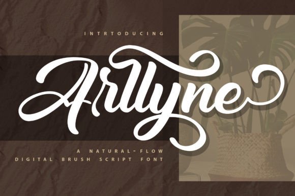 How Arllyne Transformed My Café’s Branding with a Simple Font Choice